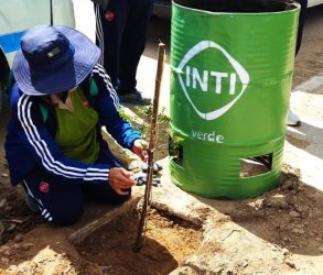 actividad-INTIVerde-arborizacion-Oruro